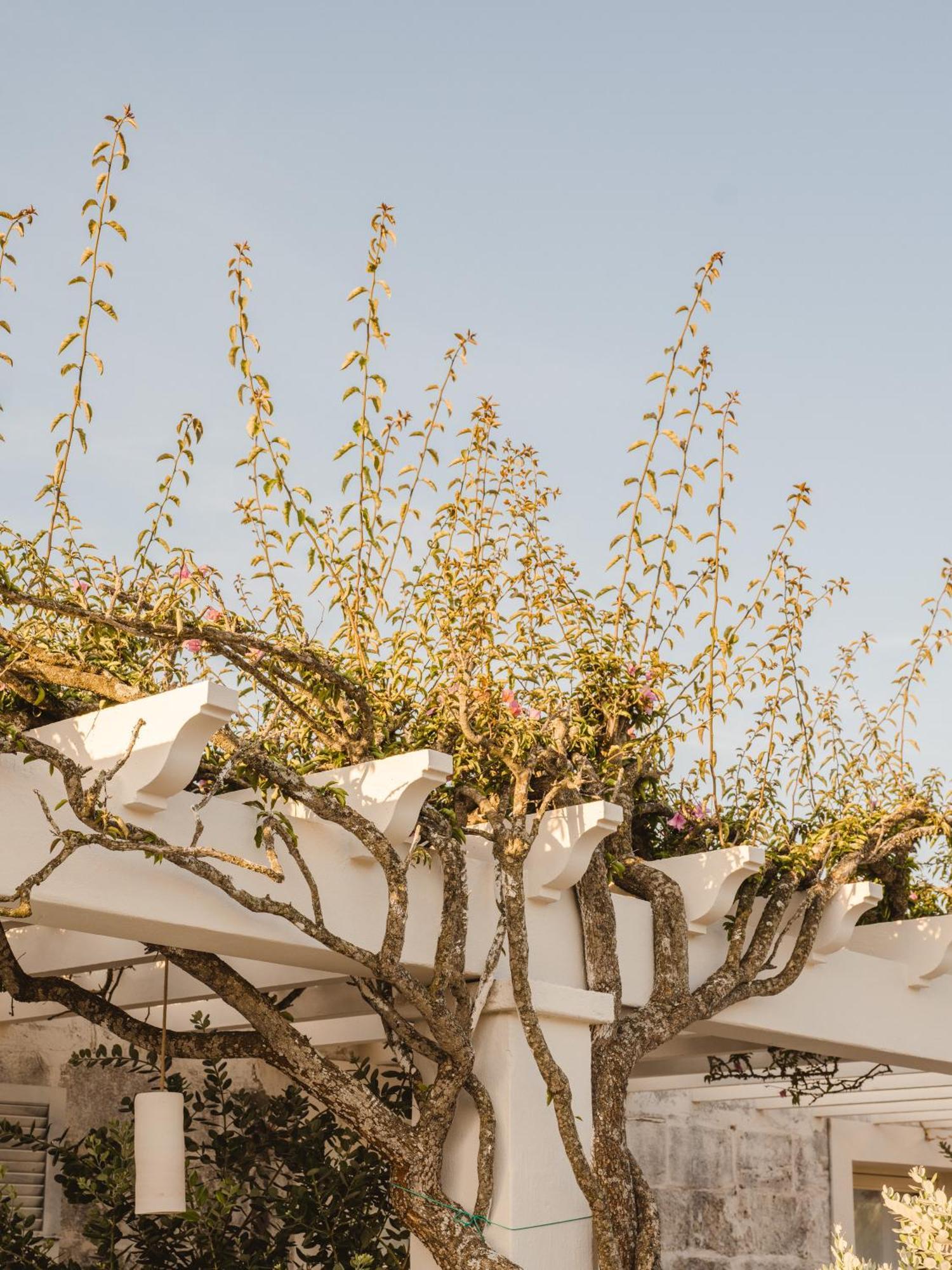 Morvedra Nou Luxury Boutique - Adults Only Hotel